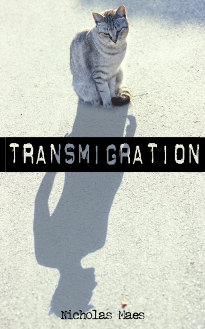 Transmigration, EPUB eBook