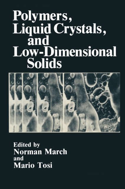 Polymers, Liquid Crystals, and Low-Dimensional Solids, PDF eBook