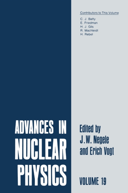 Advances in Nuclear Physics : Volume 19, PDF eBook