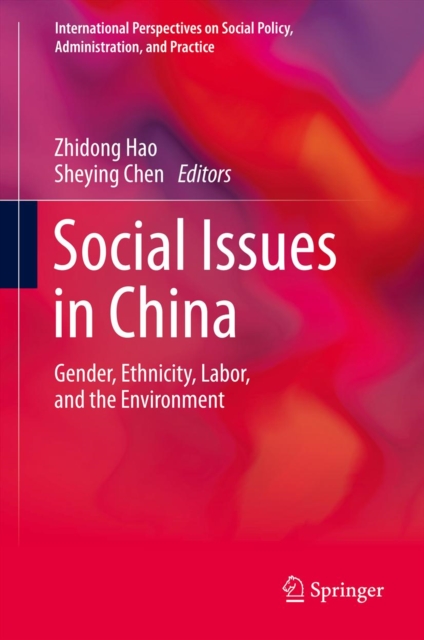 Social Issues in China : Gender, Ethnicity, Labor, and the Environment, PDF eBook