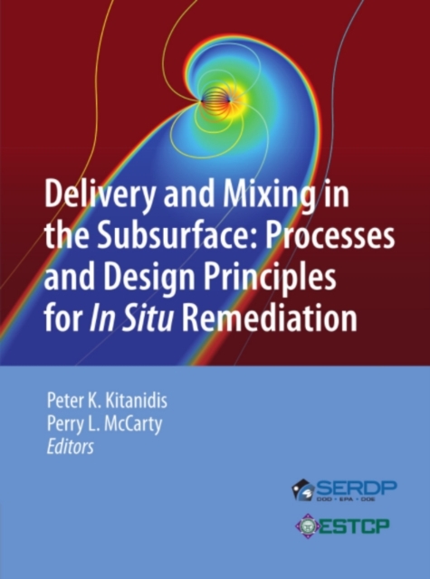 Delivery and Mixing in the Subsurface : Processes and Design Principles for In Situ Remediation, PDF eBook