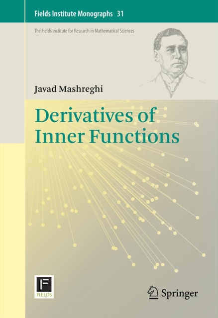 Derivatives of Inner Functions, PDF eBook