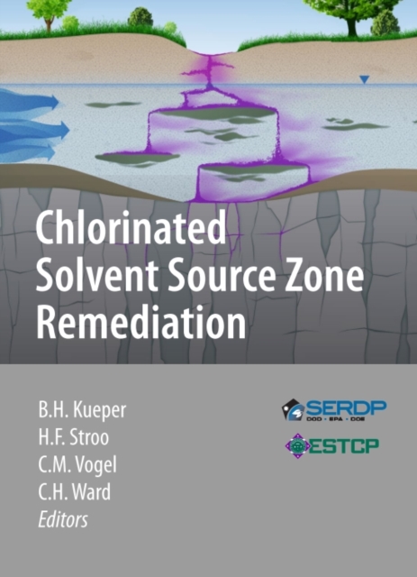 Chlorinated Solvent Source Zone Remediation, PDF eBook