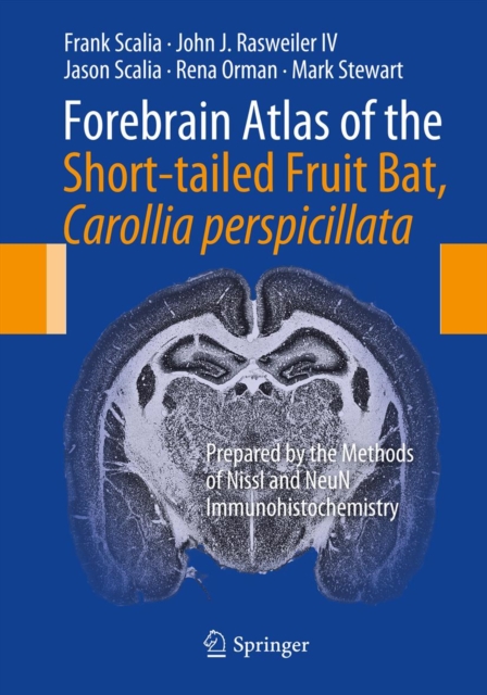 Forebrain Atlas of the Short-tailed Fruit Bat, Carollia perspicillata : Prepared by the Methods of Nissl and NeuN Immunohistochemistry, PDF eBook