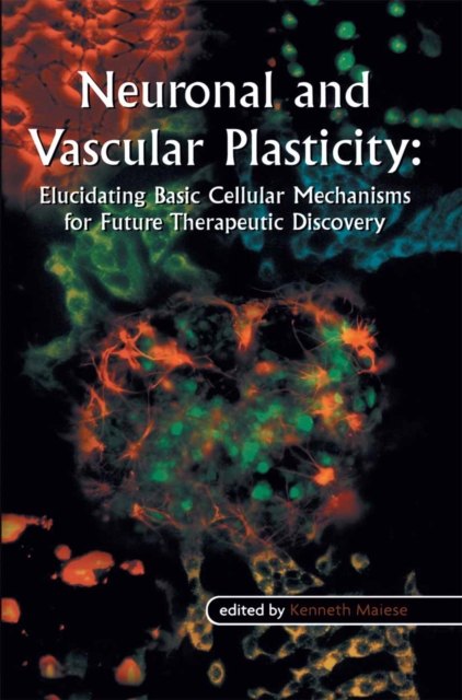 Neuronal and Vascular Plasticity : Elucidating Basic Cellular Mechanisms for Future Therapeutic Discovery, PDF eBook