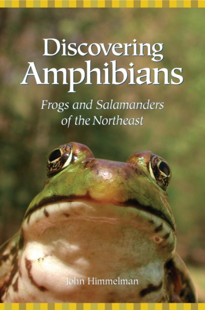 Discovering Amphibians : Frogs and Salamanders of the Northeast, EPUB eBook