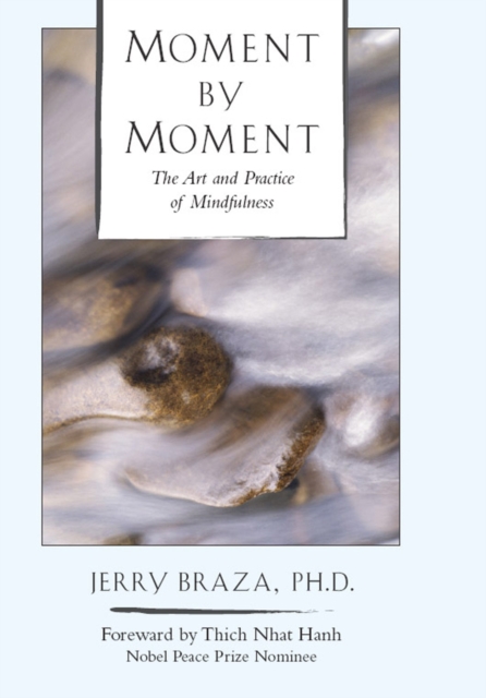 Moment by Moment : The Art and Practice of Mindfulness, EPUB eBook