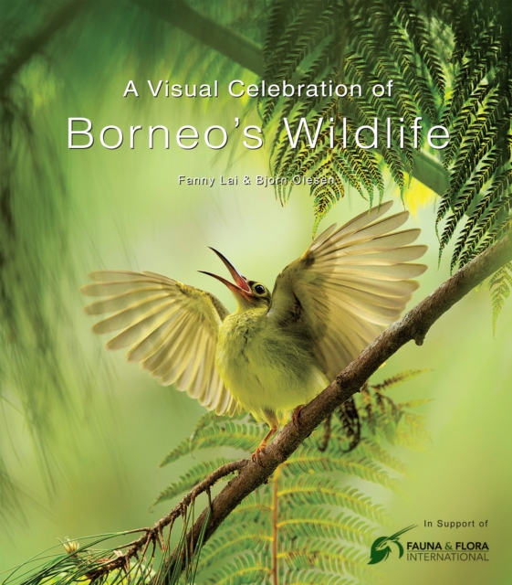 Visual Celebration of Borneo's Wildlife, EPUB eBook