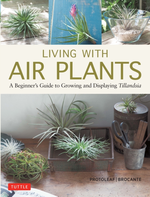 Living with Air Plants : A Beginner's Guide to Growing and Displaying Tillandsia, EPUB eBook