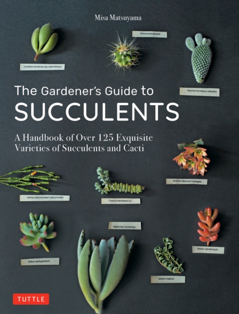 Gardener's Guide to Succulents : A Handbook of Over 125 Exquisite Varieties of Succulents and Cacti, EPUB eBook