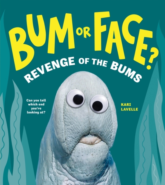 Bum or Face? Volume 2 : Revenge of the Bums, Paperback / softback Book