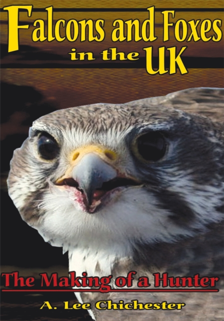 Falcons and Foxes in the U.K. : The Making of a Hunter, EPUB eBook