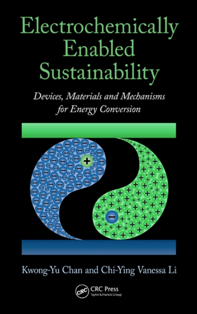 Electrochemically Enabled Sustainability : Devices, Materials and Mechanisms for Energy Conversion, PDF eBook