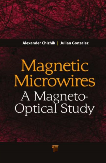 Magnetic Microwires : A Magneto-Optical Study, PDF eBook