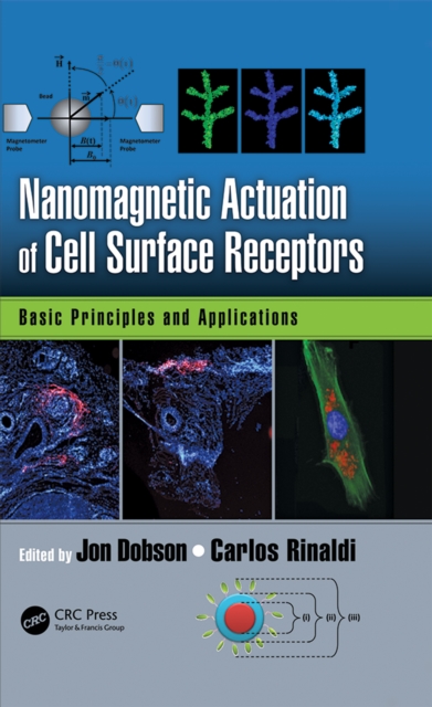 Nanomagnetic Actuation in Biomedicine : Basic Principles and Applications, PDF eBook