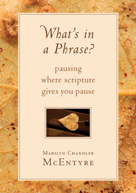 What's in a Phrase? : Pausing Where Scripture Gives You Pause, EPUB eBook