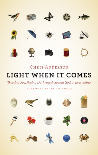 Light When It Comes : Trusting Joy, Facing Darkness, and Seeing God in Everything, EPUB eBook