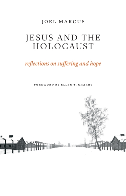 Jesus and the Holocaust : Reflections on Suffering and Hope, EPUB eBook