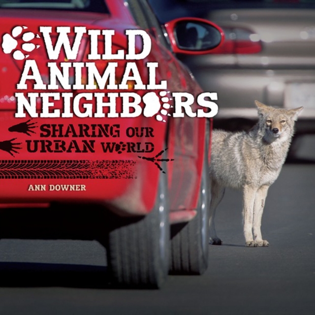 Wild Animal Neighbors : Sharing Our Urban World, PDF eBook