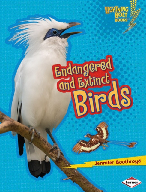 Endangered and Extinct Birds, PDF eBook