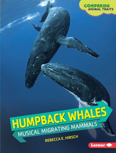 Humpback Whales : Musical Migrating Mammals, PDF eBook