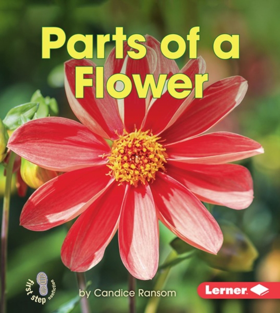 Parts of a Flower, PDF eBook