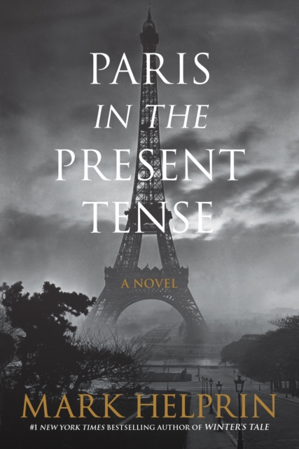 Paris in the Present Tense : A Novel, EPUB eBook