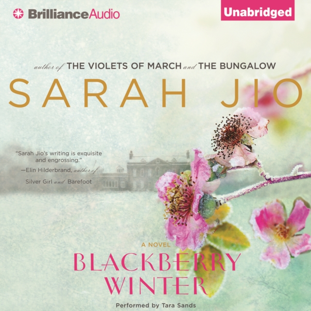 Blackberry Winter : A Novel, eAudiobook MP3 eaudioBook