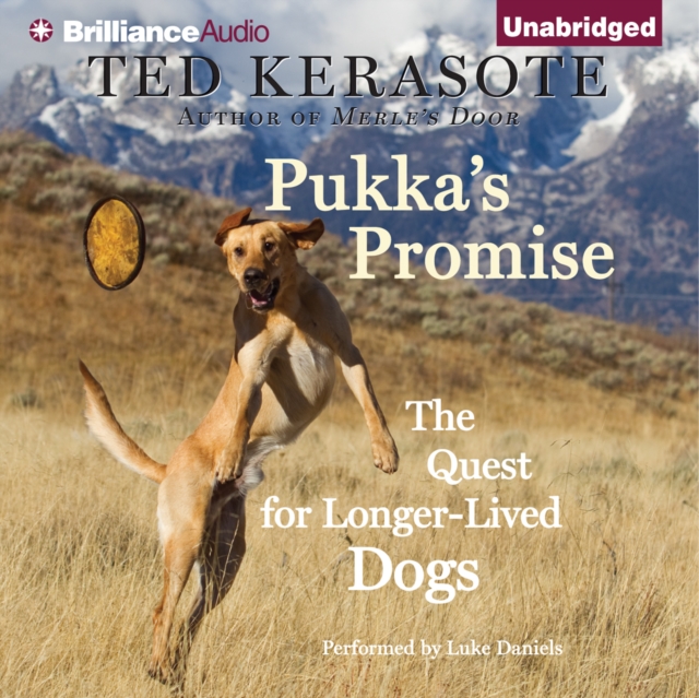 Pukka's Promise : The Quest for Longer-Lived Dogs, eAudiobook MP3 eaudioBook