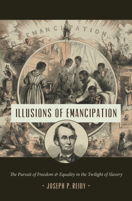 Illusions of Emancipation : The Pursuit of Freedom and Equality in the Twilight of Slavery, EPUB eBook