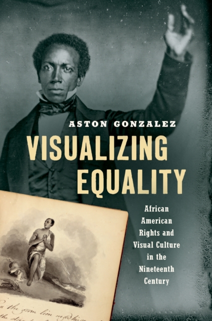 Visualizing Equality : African American Rights and Visual Culture in the Nineteenth Century, EPUB eBook
