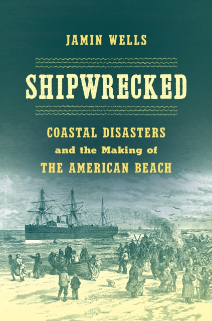 Shipwrecked : Coastal Disasters and the Making of the American Beach, EPUB eBook