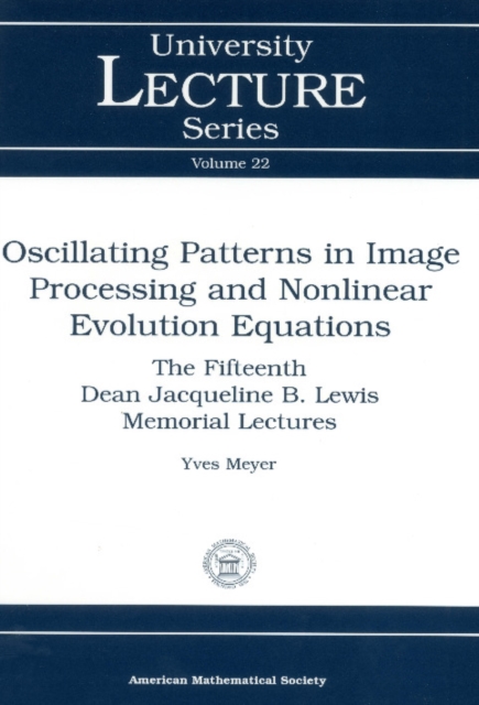 Oscillating Patterns in Image Processing and Nonlinear Evolution Equations, PDF eBook