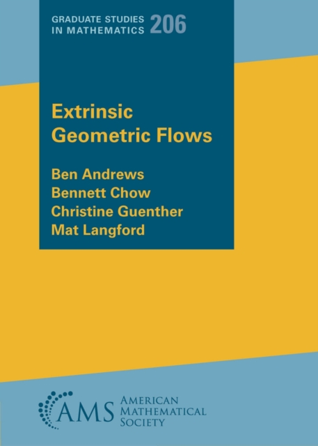 Extrinsic Geometric Flows, Paperback / softback Book