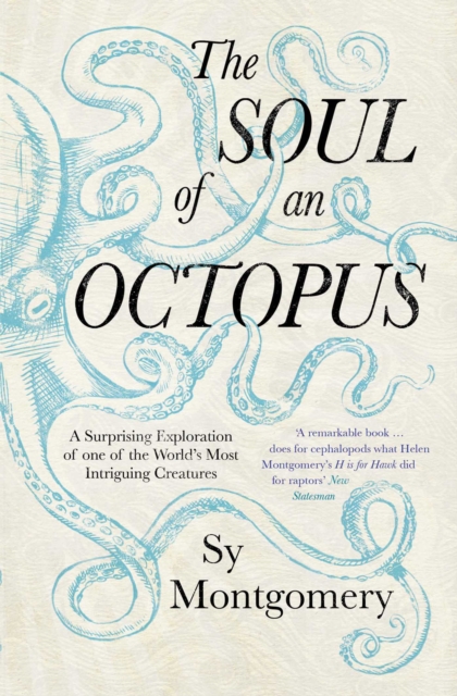 The Soul of an Octopus : A Surprising Exploration Into the Wonder of Consciousness, EPUB eBook