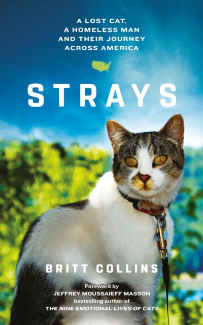 Strays : The True Story of a Lost Cat, a Homeless Man and Their Journey Across America, EPUB eBook