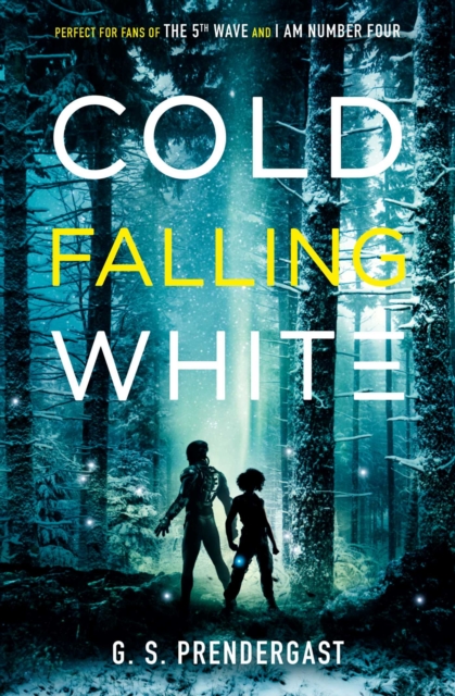 Cold Falling White, Paperback / softback Book