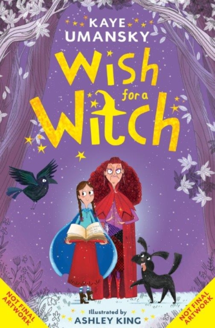 Wish for a Witch, Paperback / softback Book