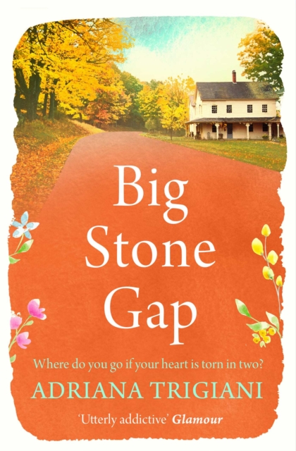 Big Stone Gap, EPUB eBook