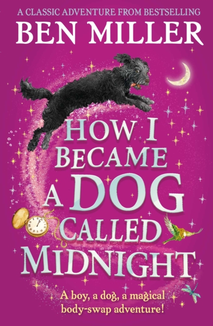 How I Became a Dog Called Midnight : A magical animal mystery from the bestselling author of The Day I Fell Into a Fairytale, Paperback / softback Book