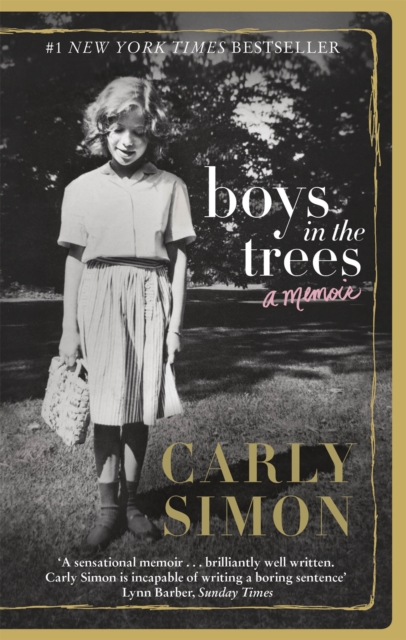 Boys in the Trees : A Memoir, Paperback / softback Book