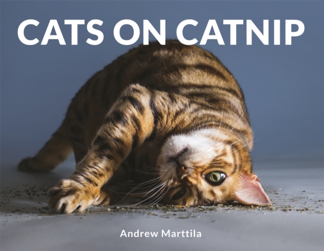 Cats on Catnip, Hardback Book