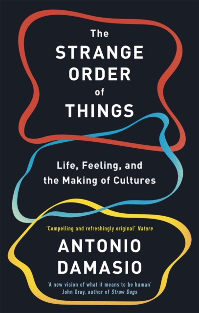The Strange Order Of Things : Life, Feeling and the Making of Cultures, Paperback / softback Book