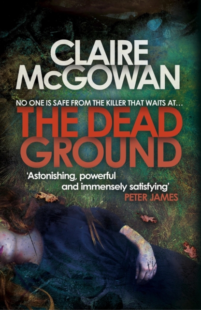 The Dead Ground (Paula Maguire 2) : An Irish serial-killer thriller of heart-stopping suspense, EPUB eBook