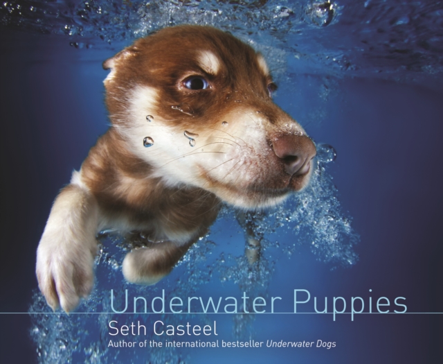 Underwater Puppies, EPUB eBook