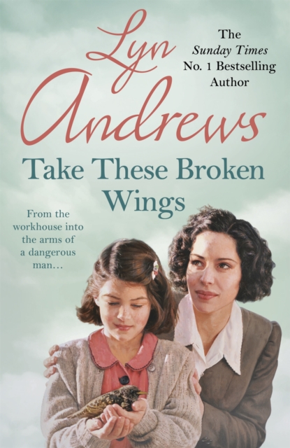 Take these Broken Wings : Can she escape her tragic past?, Paperback / softback Book