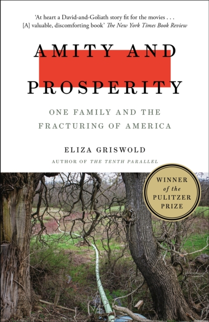 Amity and Prosperity : One Family and the Fracturing of America - Winner of the Pulitzer Prize for Non-Fiction 2019, Paperback / softback Book