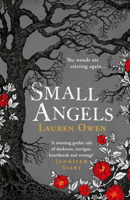 Small Angels : 'A twisting gothic tale of darkness, intrigue, heartbreak and revenge' Jennifer Saint, Hardback Book