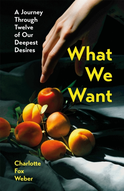 What We Want : A Journey Through Twelve of Our Deepest Desires, Hardback Book