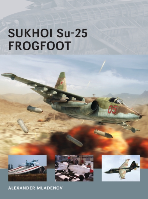 Sukhoi Su-25 Frogfoot, EPUB eBook